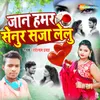 About Jan Hamar Senur Saja Lelu Song